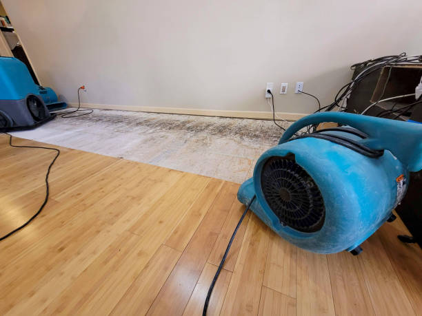 Professional Sewage Cleanup technician working in Williston, NC